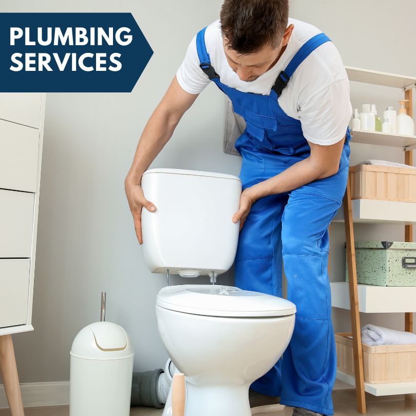 Plumbing Company in Waterloo, IL